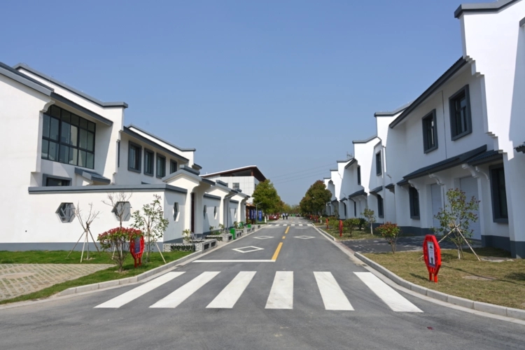 江苏盐城盐都区：“四好农村路”托举乡村振兴新画卷