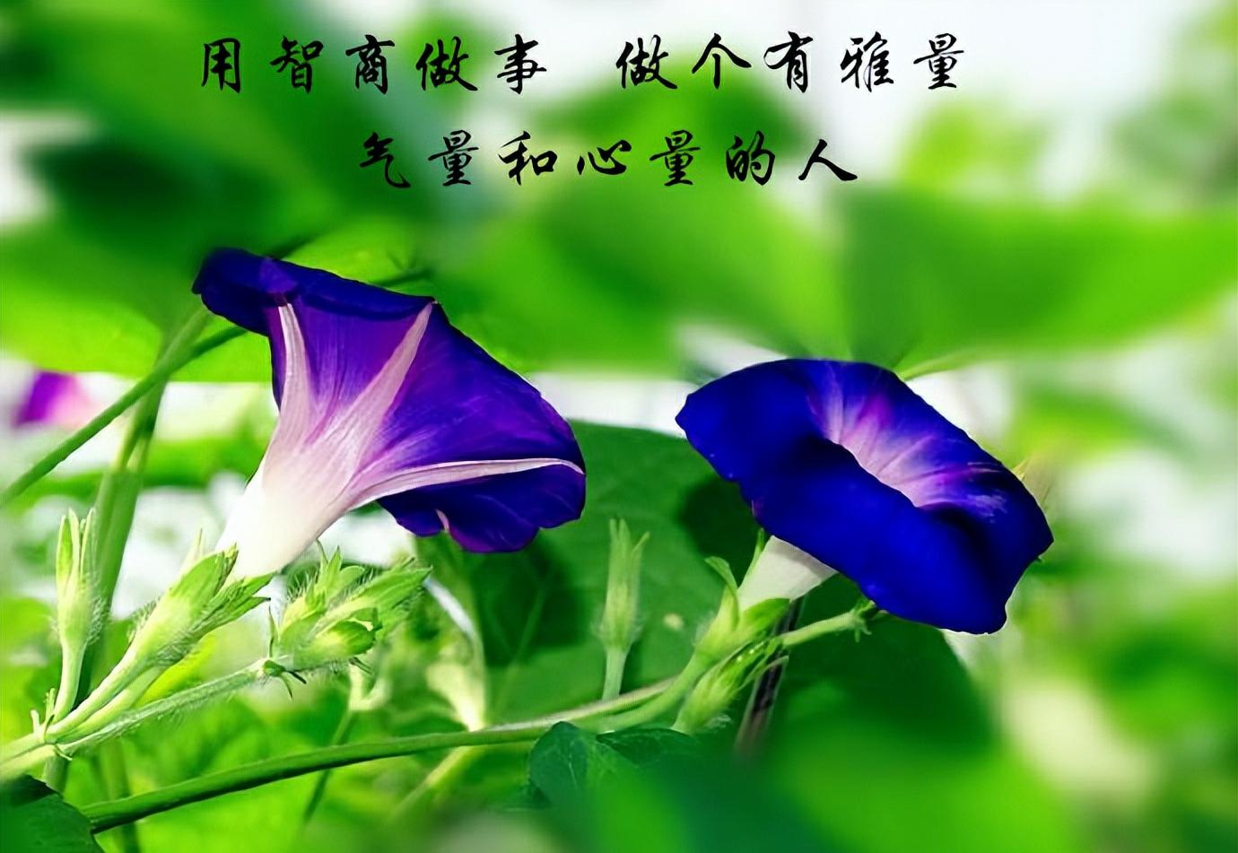 山东兰陵县：铜板婚书，年轻人的“新中式”浪漫